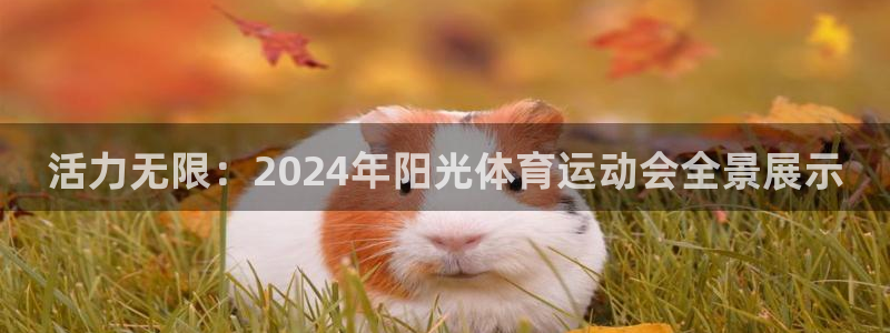 JJB竞技宝官网下载联系电话:活力无限:2024年阳光体育运