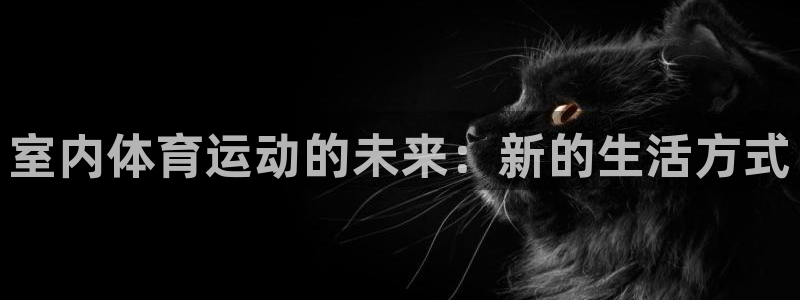 JJB竞技宝官网下载招商电话:室内体育运动的未来:新的生活方